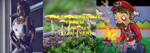 a pvp Алзамай