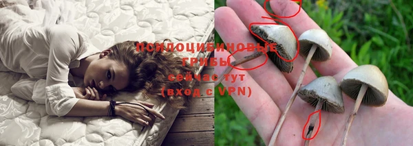 a pvp Алзамай